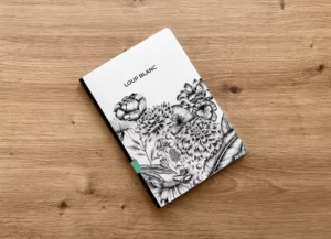 L'illustré - Signé Claire Samedi