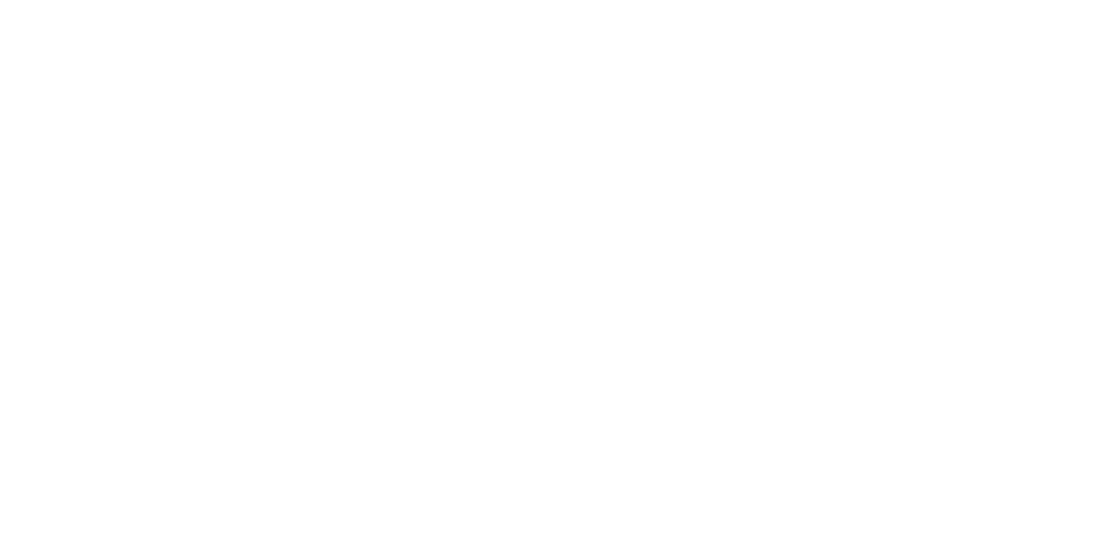 LOUP-BLANC_Picto-Paiement-Securise