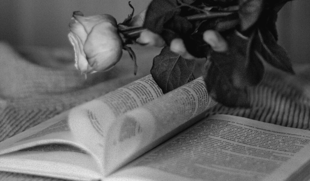 pexels-olga-volkovitskaia-131638009-10819724